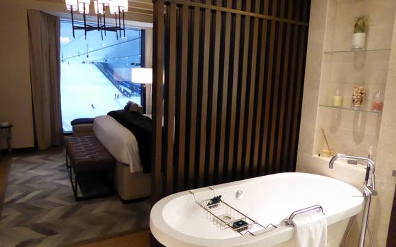 Asie occidentale: offres d'hébergement sur les domaines skiables – Offre d’hébergement Ski Dubai – Mall of the Emirates