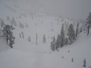 Piste Upper International