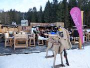 Lieu recommandé pour l'après-ski : Gamsstadl