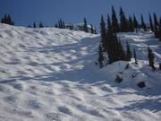 Parfaite piste à bosses