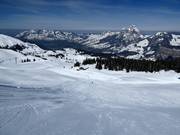 Piste difficile Franz Heinzer