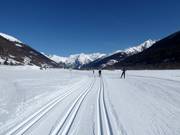 De magnifiques pistes de ski de fond dans le Goms