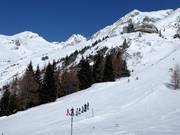 Descente vers la vallée depuis l’Ankogel