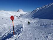 Kogel-Mogel piste à vagues