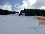 Piste facile au tapis roulant dans la vallée