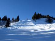 Piste noire Arvenegg