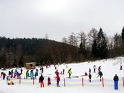 Espace d'entraînement à côté de la piste de luge