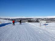 Piste n° 36 Pelikanen