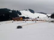 Tapis roulants pour les débutants