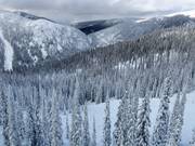 Vue sur les descentes en forêt (Gladed Runs)