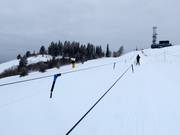 Surface Tow - Télécorde/remonte-pente à câbles bas