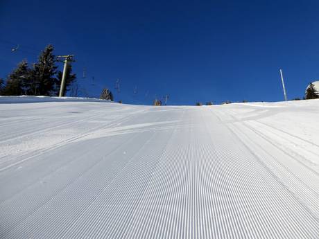 Préparation des pistes Allemagne – Préparation des pistes Arber