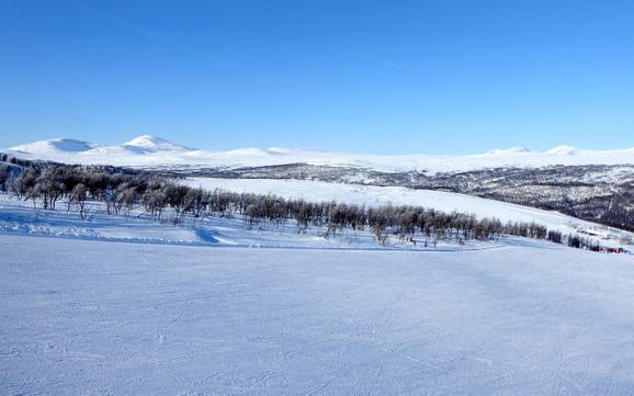 Skier près de Bruksvallarna