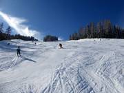 Descente Burgstallalm sur la Planai