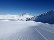 Traces dans la neige avec panorama sur le Rettenstein