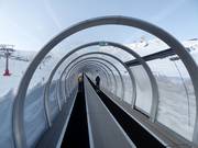 Alfombra Doble Dauro - Tapis roulant/Moving Carpet recouvert d’une galerie