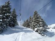 T-Rex T-Bar - Téléski à pioches