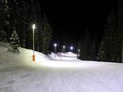 Ski nocturne
