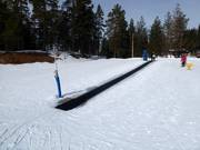 Blåmesen - Tapis roulant/Moving Carpet