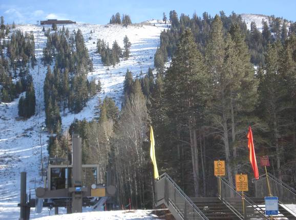 J1 June Meadows Chair