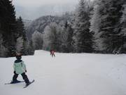 Partie supérieure de la piste