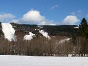 Vue sur les pistes forestières avec la tour de télécommunication