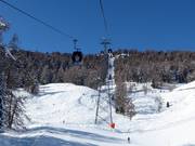 Celerina–Marguns - 6 places | Télécabine (monocâble à mouvement unidirectionnel)