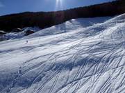 On trouve très souvent des traces de poudreuse à côté des pistes.