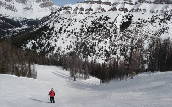 Diversité des pistes Chaînon Slate – Diversité des pistes Lake Louise