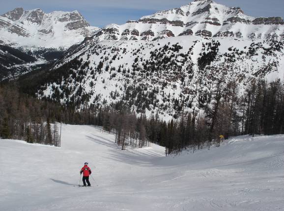 Piste n° 148 Larch