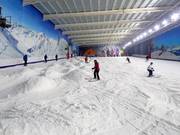 La piste principale dans le Snow Centre