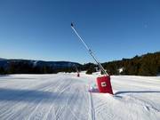 Lance à neige dans le domaine skiable Les Angles