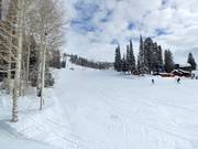 Zone débutants au télésiège Shoshone