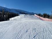 Vue vers le sommet Chopok