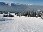 Descente parcours de slalom