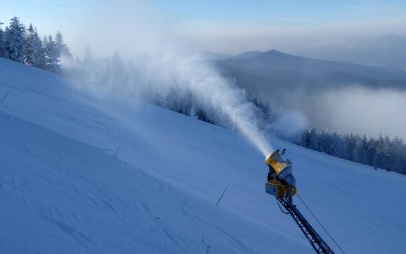 Fiabilité de l'enneigement Zwieseler Winkel – Fiabilité de l'enneigement Arber