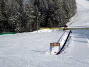 Idéal pour les enfants : tapis roulant Pony Express