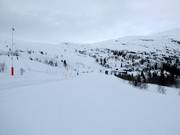 Piste familiale facile