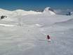 Alpes bernoises: Taille des domaines skiables – Taille Crans-Montana