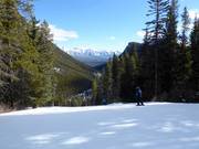 Descente en forêt au Mt. Norquay avec panorama
