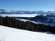 Grasgehren au-dessus des nuages