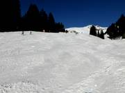 Descente vers la vallée Hasliberg-Reuti