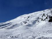 Pentes de poudreuse jusqu’au village de Vent