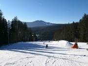 Piste facile à Nad Nádražím