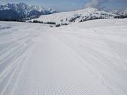 Les pentes herbeuses facilitent la bonne préparation des pistes.