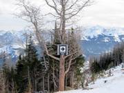 Réservé aux experts !