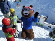 La mascotte Noah, le petit ours brun