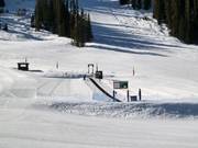 Espace débutant au tapis roulant