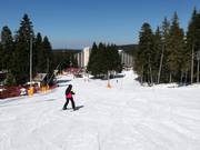 Piste d'entraînement Rotata