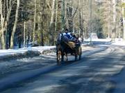 On peut se rendre à la station de la vallée en calèche.